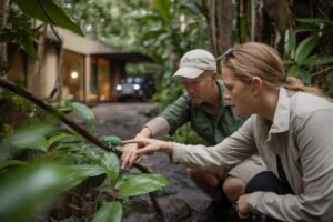 Ce caméléon de 33 mm découvert à Madagascar bouleverse tout ce que les scientifiques croyaient savoir sur l’évolution des espèces