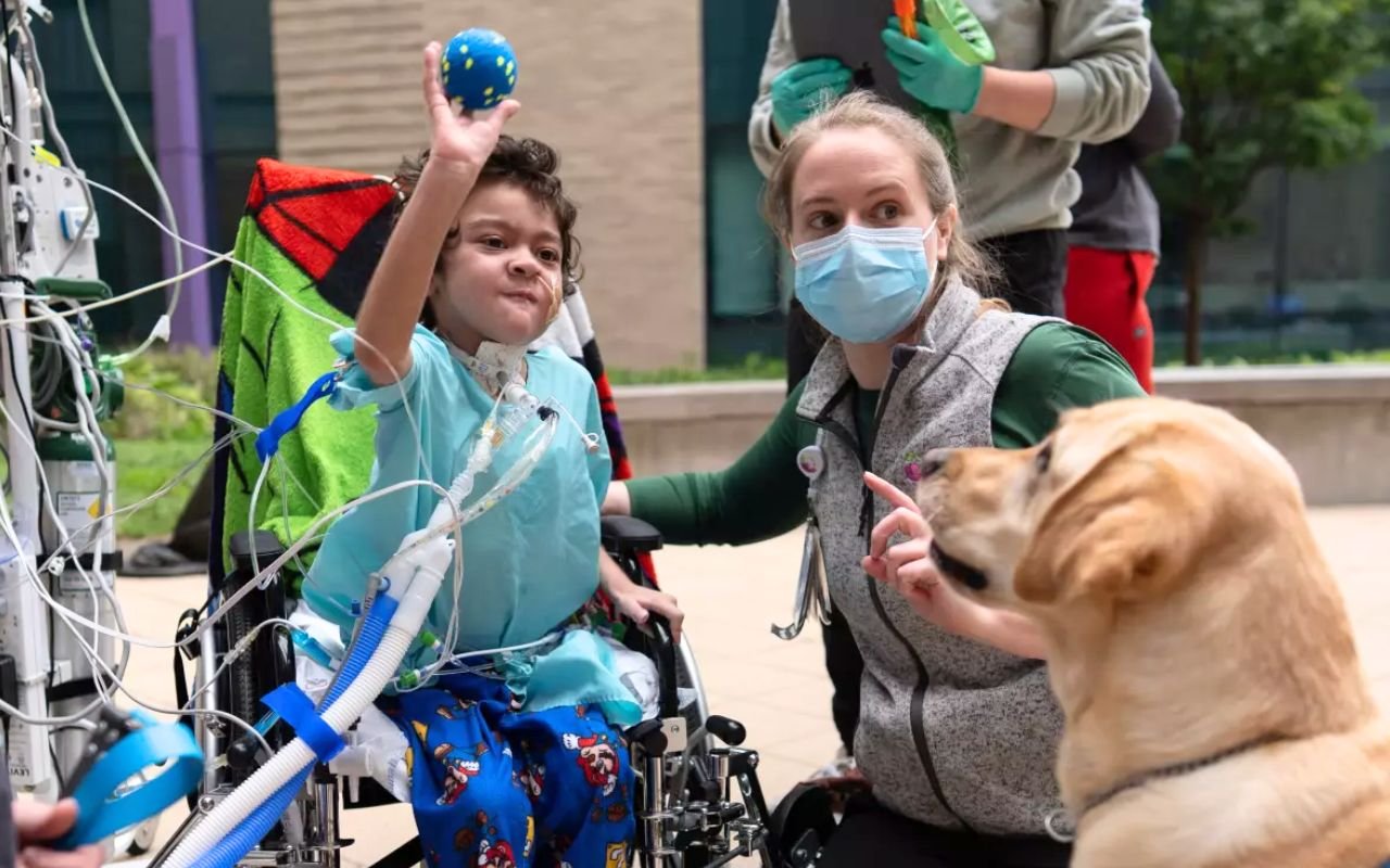 Ces chiens de soutien émotionnel qui travaillent 12 heures par jour en pédiatrie révolutionnent l'approche des équipes soignantes