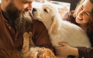 Ni chat ni chien : ce cousin génétique partage 96% de notre ADN malgré 60 millions d’années de séparation évolutive