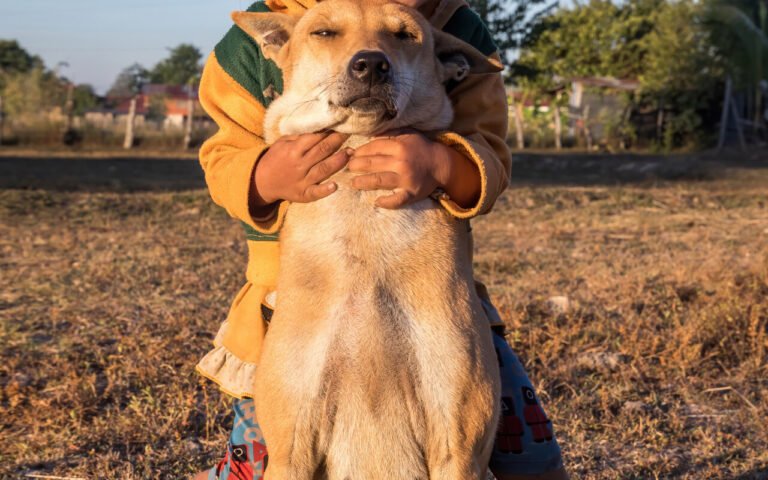 Microbiote intestinal du chien : ce lien troublant avec l’anxiété qui change tout